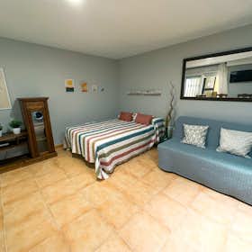 Studio for rent for €850 per month in Benalmádena, Avenida Gamonal