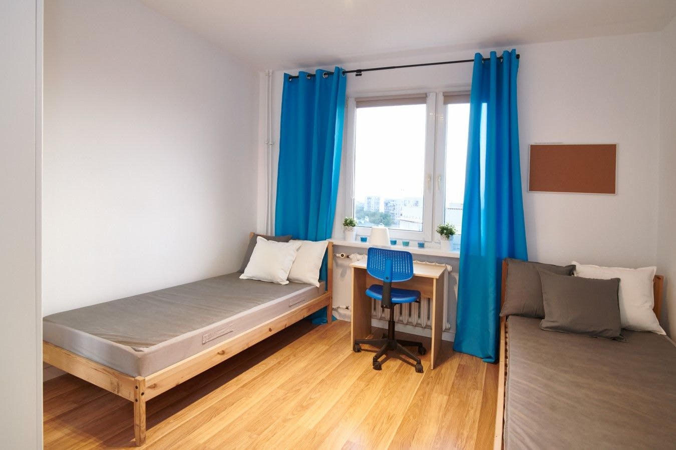 Stokłosy, Warsaw preview