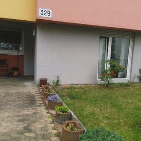 Wohnung for rent for 2.249 € per month in Kassel, Wilhelmshöher Allee