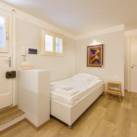 Monolocale for rent for 1.450 € per month in Florence, Via del Giardino Serristori
