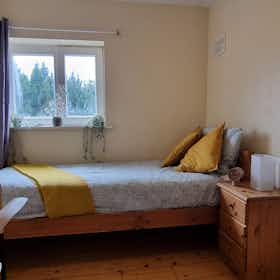 私人房间 正在以 €860 的月租出租，其位于 Dublin, Shanard Road
