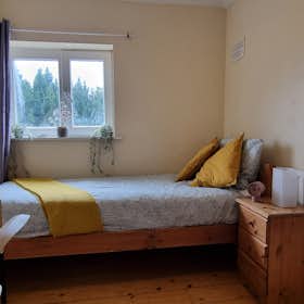 WG-Zimmer for rent for 860 € per month in Dublin, Shanard Road