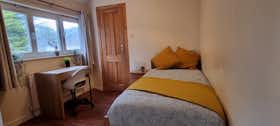 Приватна кімната за оренду для 940 EUR на місяць у Dublin, Shanard Road