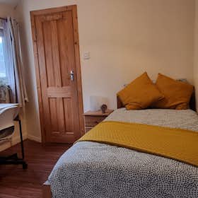 私人房间 正在以 €940 的月租出租，其位于 Dublin, Shanard Road