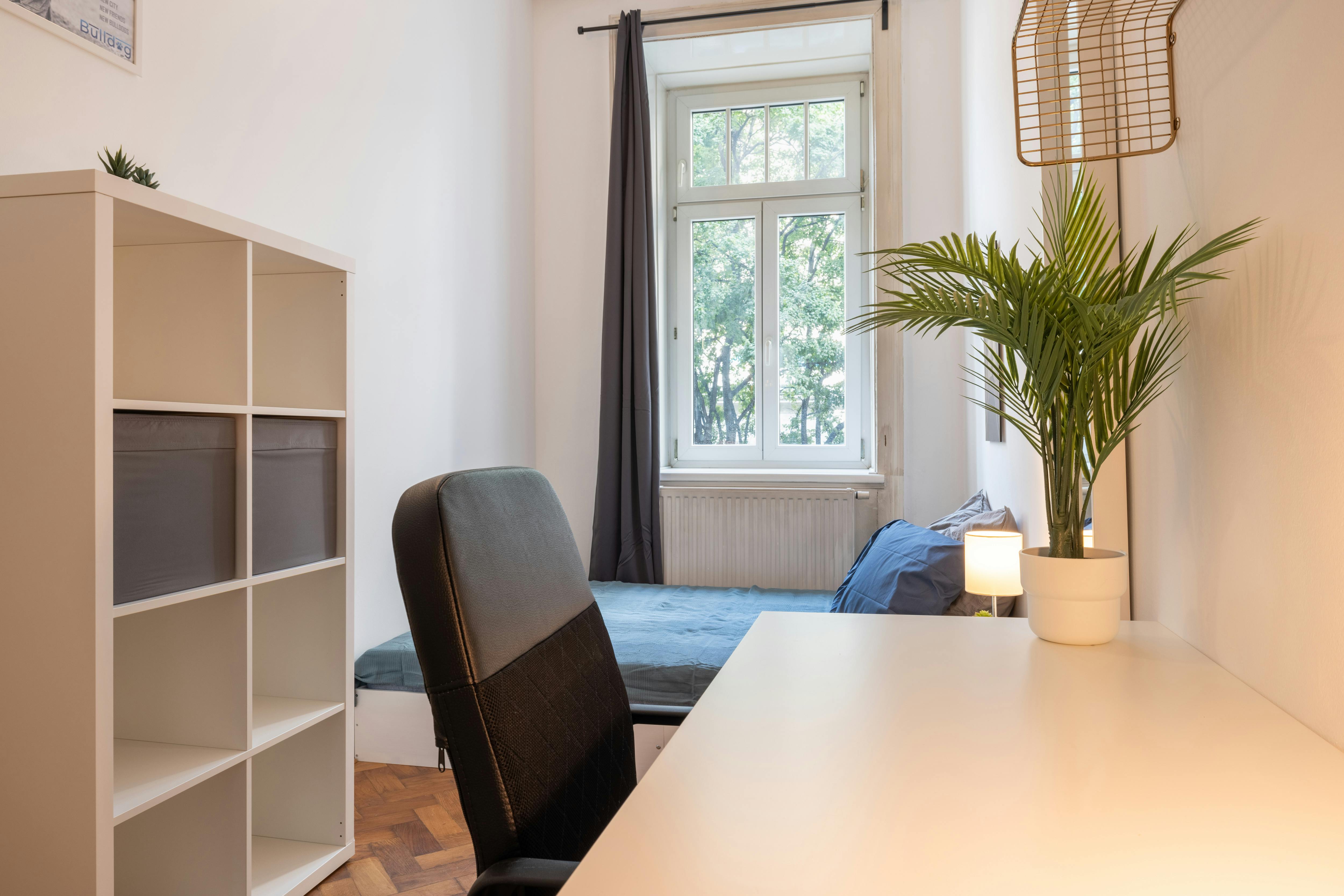 Weintraubengasse, Vienna preview