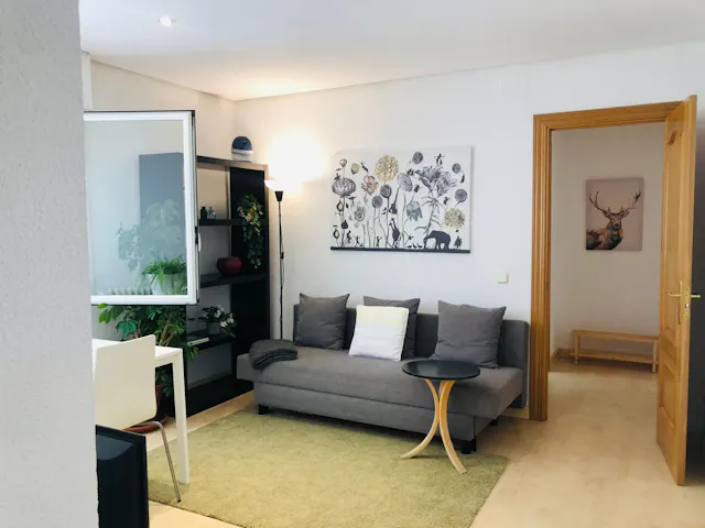1-Bedroom Apartment in Calle de Jaime el Conquistador, Madrid (1351991) room image 2