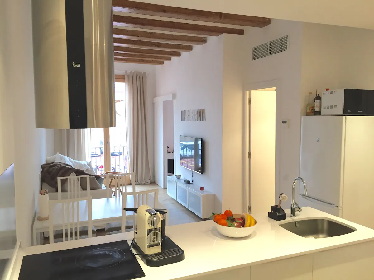 2-Bedroom Apartment in Carrer de les Carretes, Barcelona (1352074) ROOM