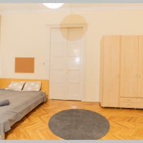 Private room for rent for HUF 160,856 per month in Budapest, Magyar utca