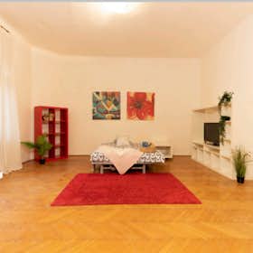 Private room for rent for €380 per month in Budapest, Szövetség utca