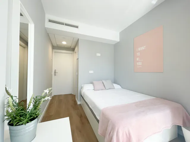 Private room in Calle de Toledo, Madrid (1356540) room image 1