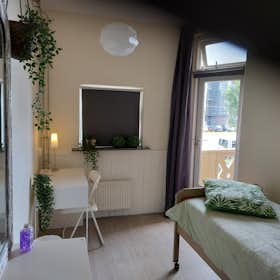 Mehrbettzimmer for rent for 420 € per month in Arnhem, Johan de Wittlaan