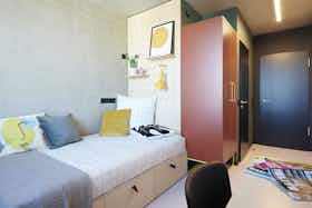 Private room for rent for €590 per month in Göttingen, Geismar Landstraße
