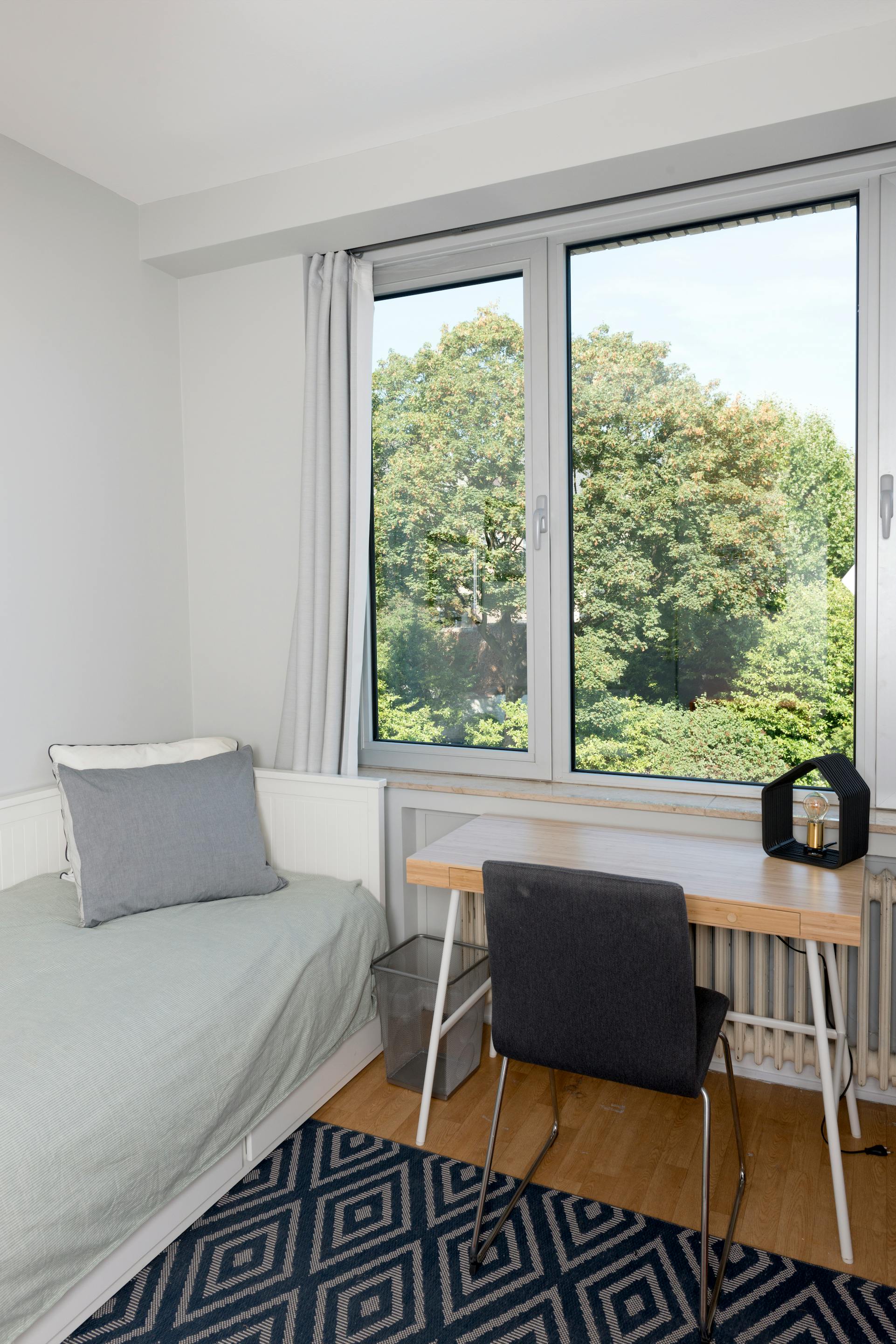 Rue des Cygnes, Ixelles preview