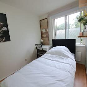 私人房间 正在以 €900 的月租出租，其位于 Amsterdam, Vreelandplein