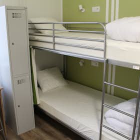 Shared room for rent for PLN 1,501 per month in Kraków, ulica Łobzowska