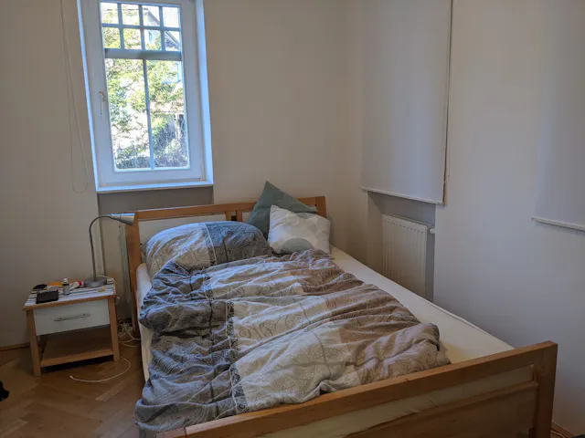 1-Bedroom Apartment in Hilmteichstraße, Graz (1362437) room image 2