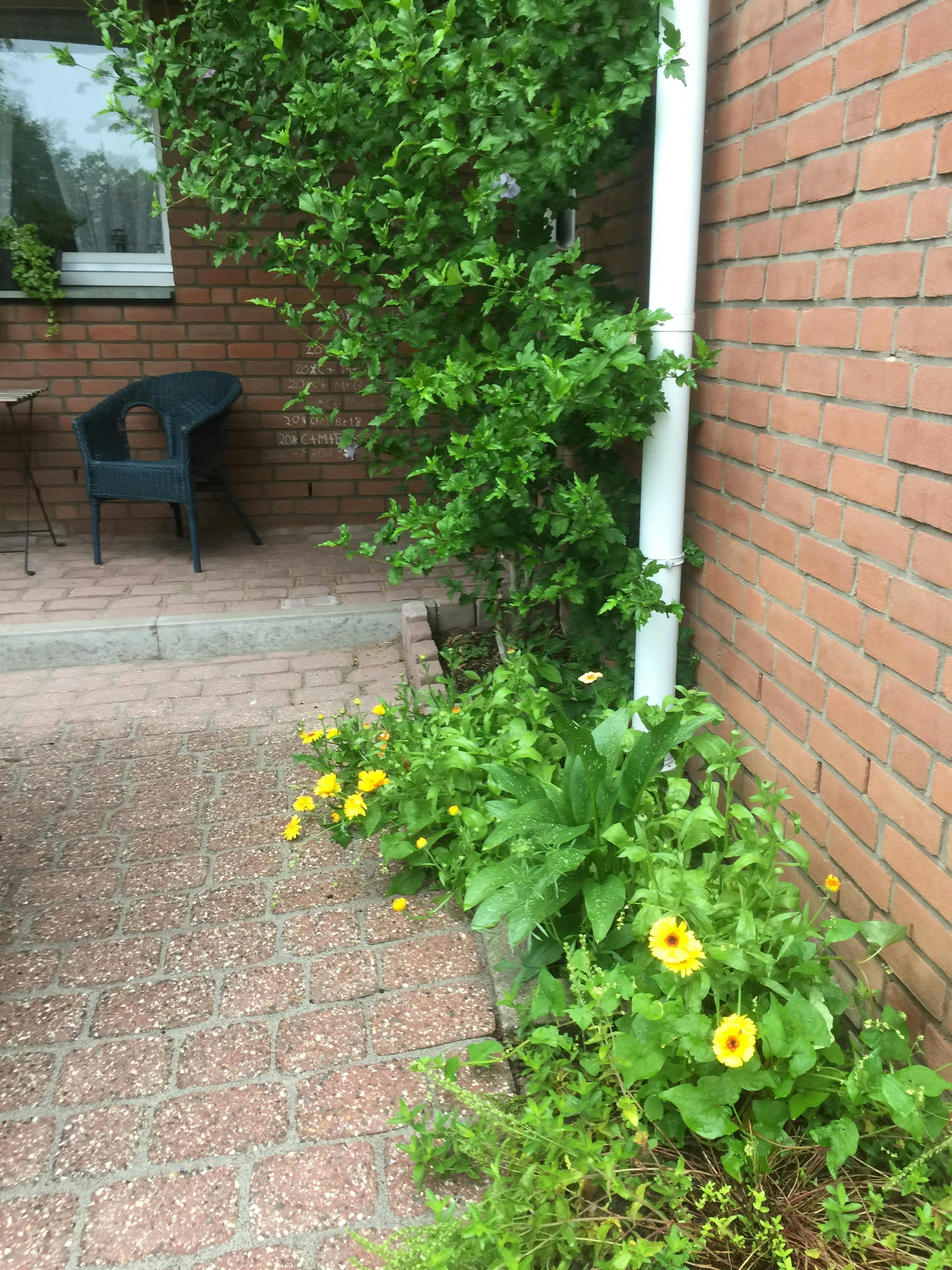 Apartment Meerbusch, 3 beds — photo 8