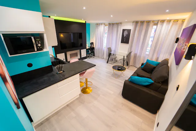 1-Bedroom Apartment in Cours Émile Zola, Villeurbanne (1363019) room image 2