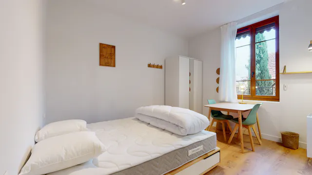 Private room in Rue du Général Brulard, Lyon (1363580) room image 45