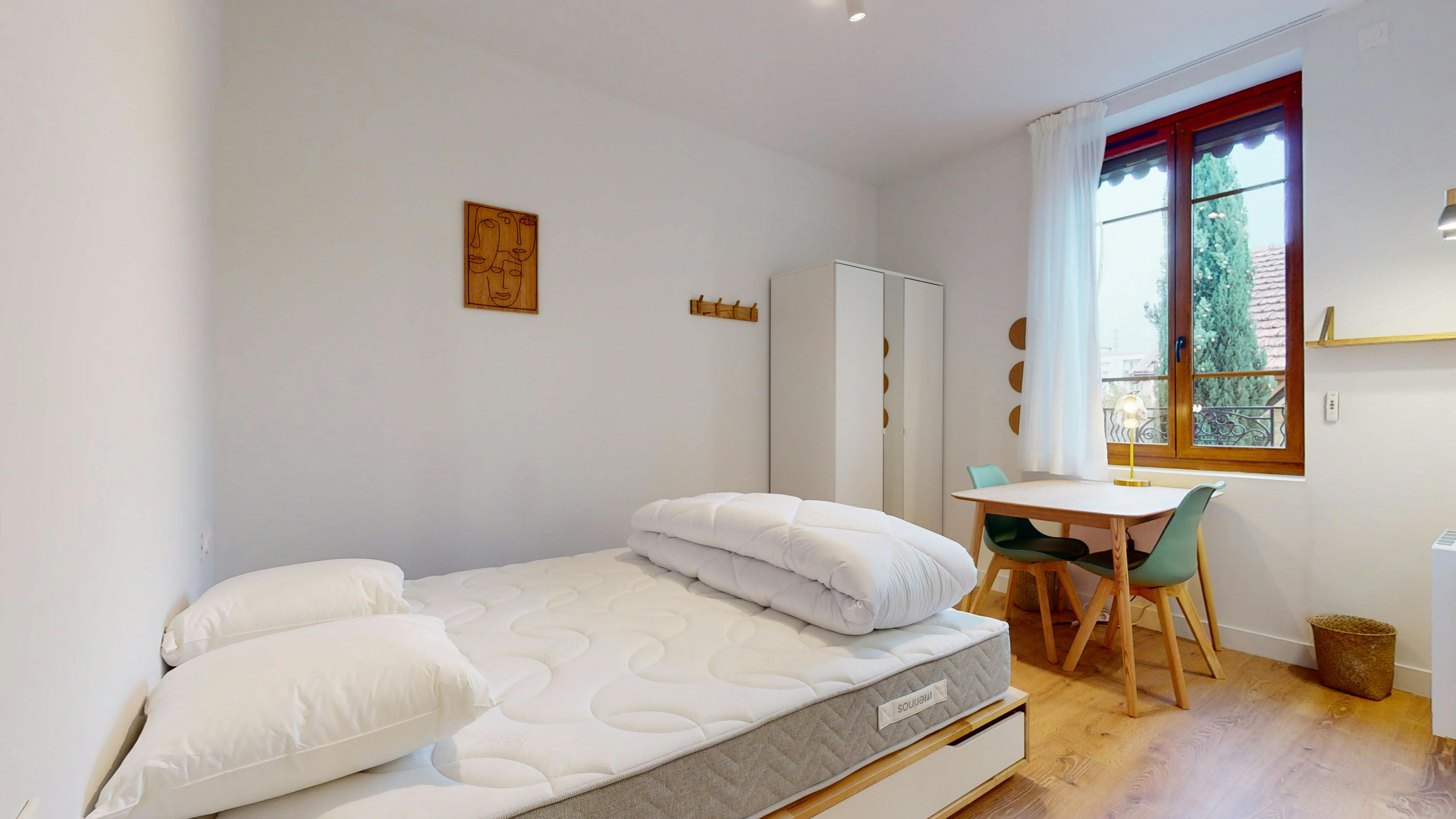 Rue du Général Brulard, Lyon preview