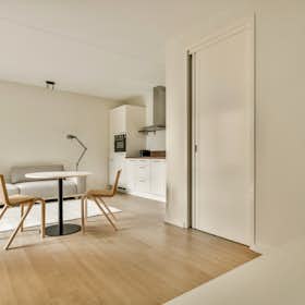 Studio for rent for € 1.800 per month in Delft, Asvest