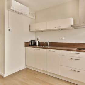 单间公寓 正在以 €1,899 的月租出租，其位于 Delft, Asvest