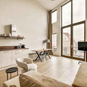单间公寓 正在以 €2,350 的月租出租，其位于 Delft, Asvest
