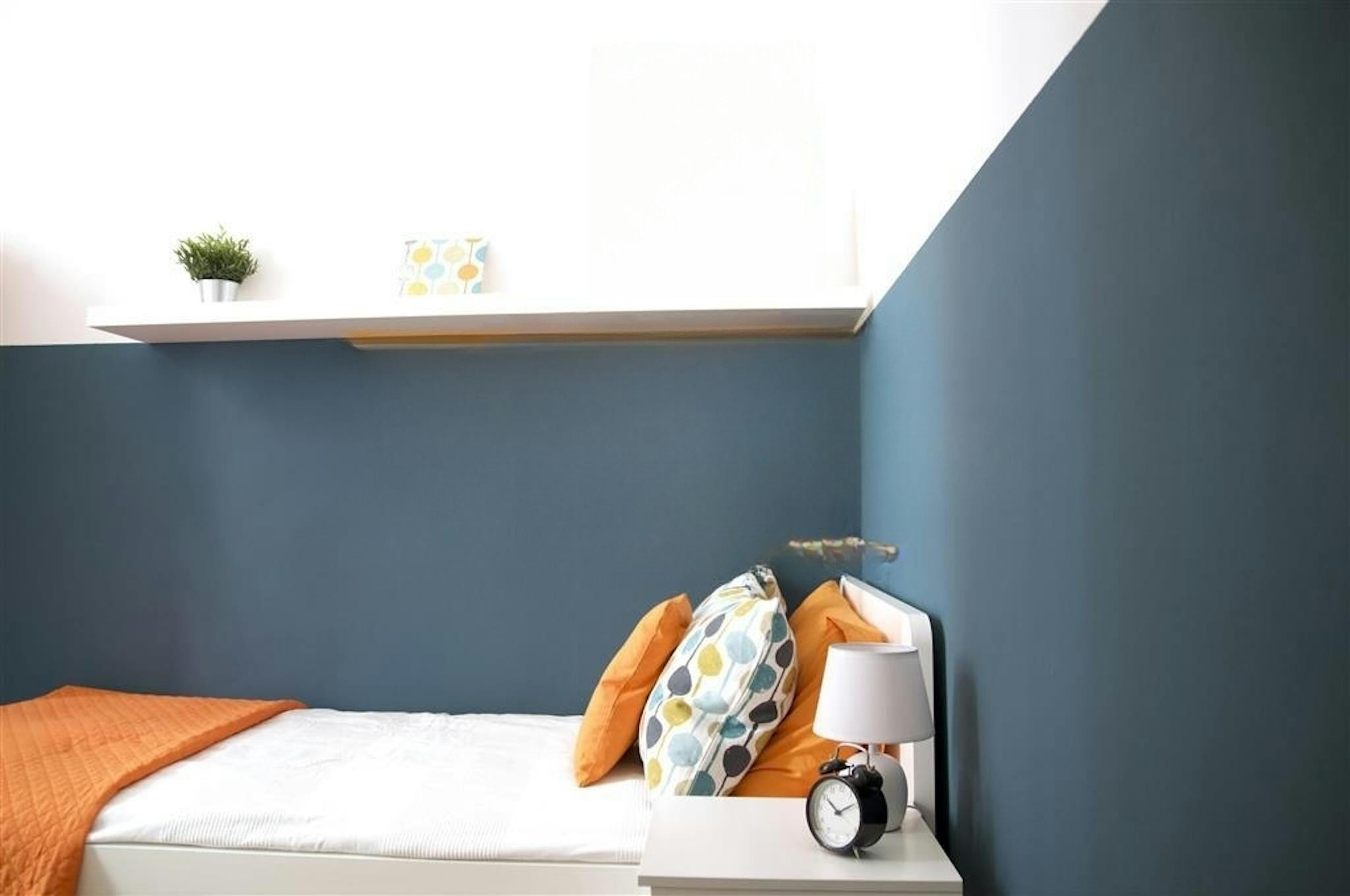 Strada Maggiore, Bologna preview