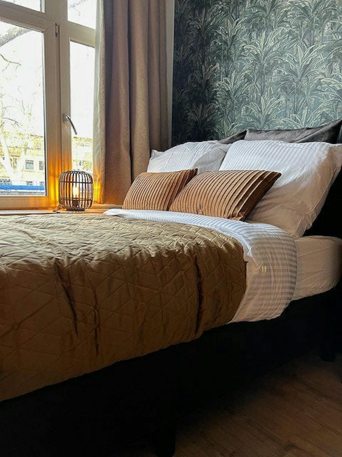 Mijnsherenlaan, Rotterdam preview