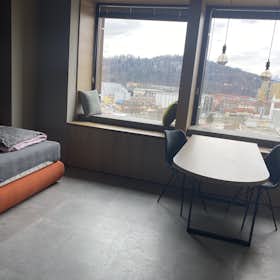 Studio for rent for €1,100 per month in Ljubljana, Dunajska cesta