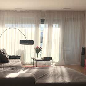 Appartement à louer pour 3 300 CHF/mois à Winterthur, Rychenbergstrasse