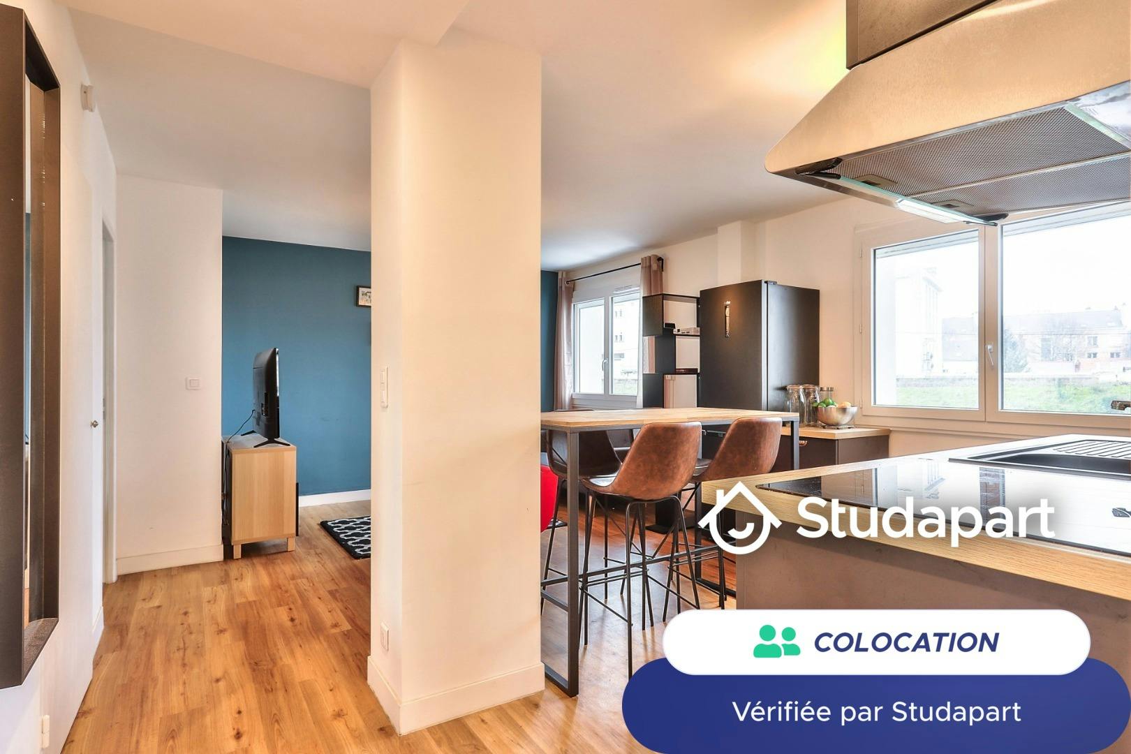 Private room for rent on Boulevard Benoni Goullin, Nantes - Vue 3