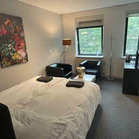 Studio for rent for €1,775 per month in Gouda, Crabethstraat