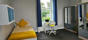 共用房间 正在以 €700 的月租出租，其位于 Dublin, Royal Canal Terrace