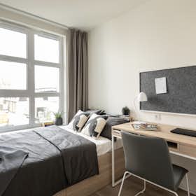 Private room for rent for PLN 1,689 per month in Kraków, ulica Grzegórzecka