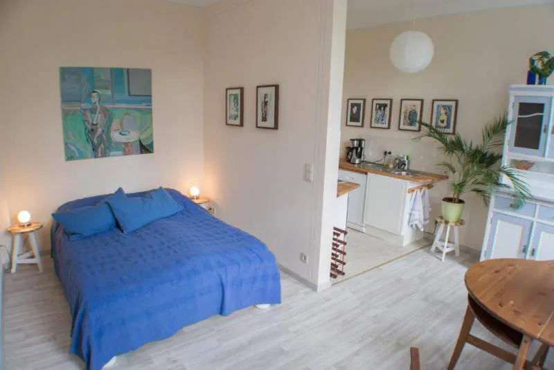 1-Bedroom Apartment in Frühlingstraße, Dresden (1370574) ROOM 2
