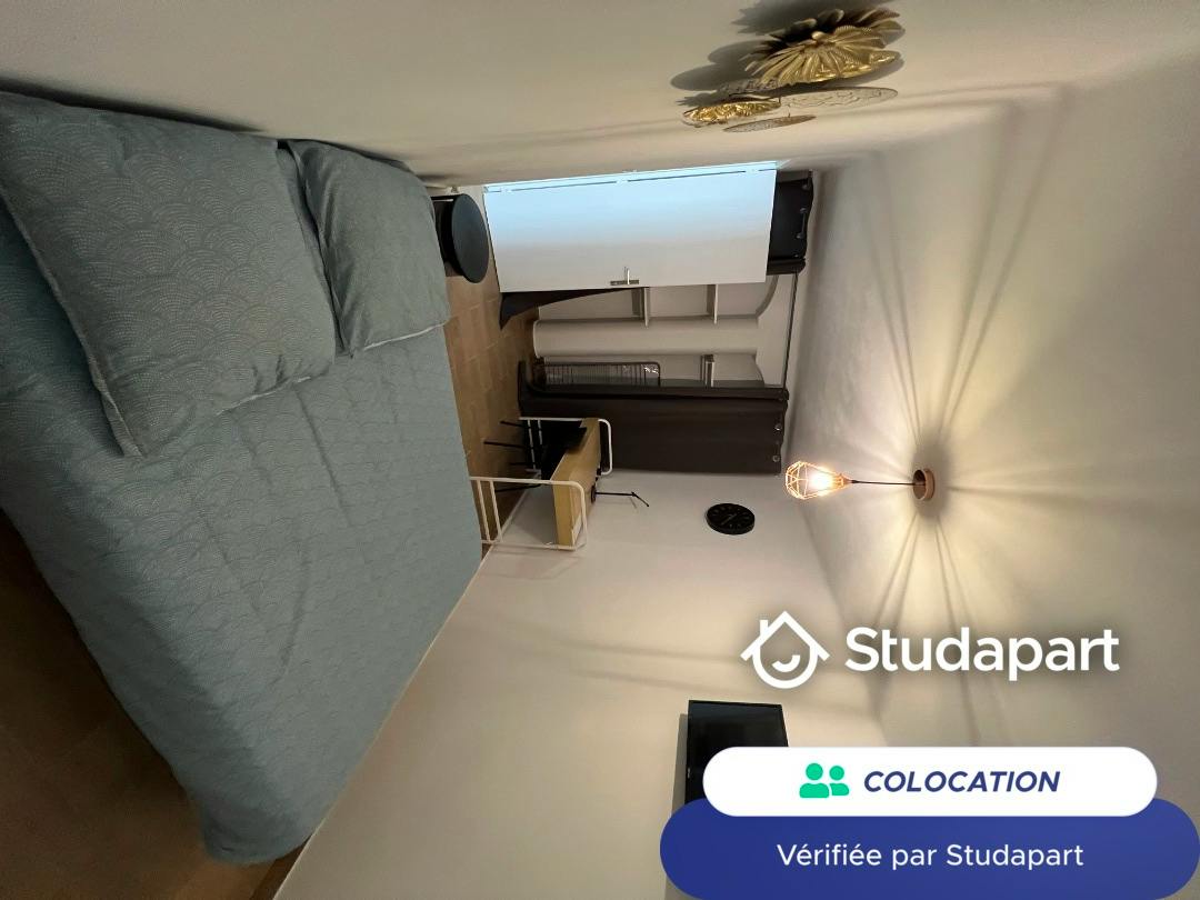 Private room for rent on Rue de Crimée, Marseille - Plus