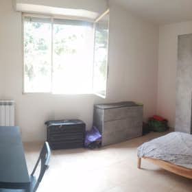 Private room for rent for €600 per month in Milan, Via Alessandro Litta Modignani