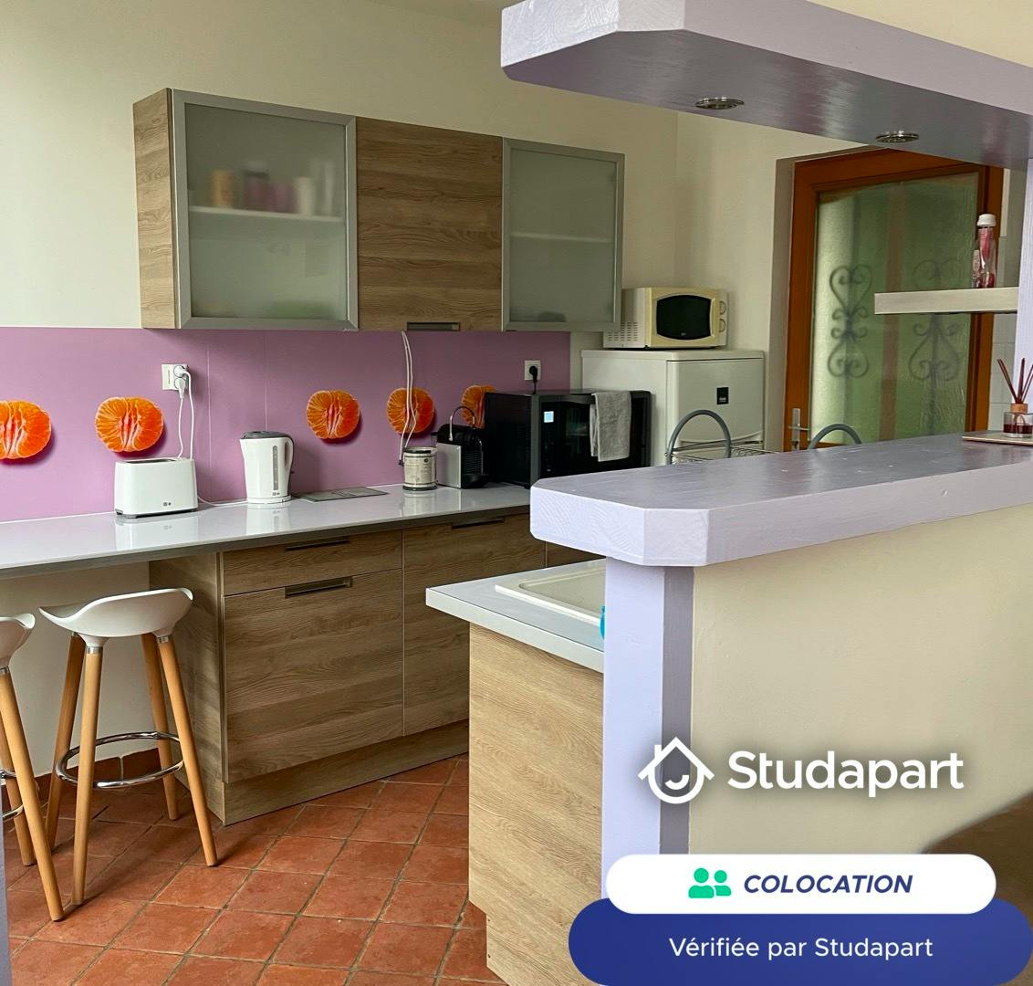 Private room for rent on Rue des Lampes, Meudon – pohled 3