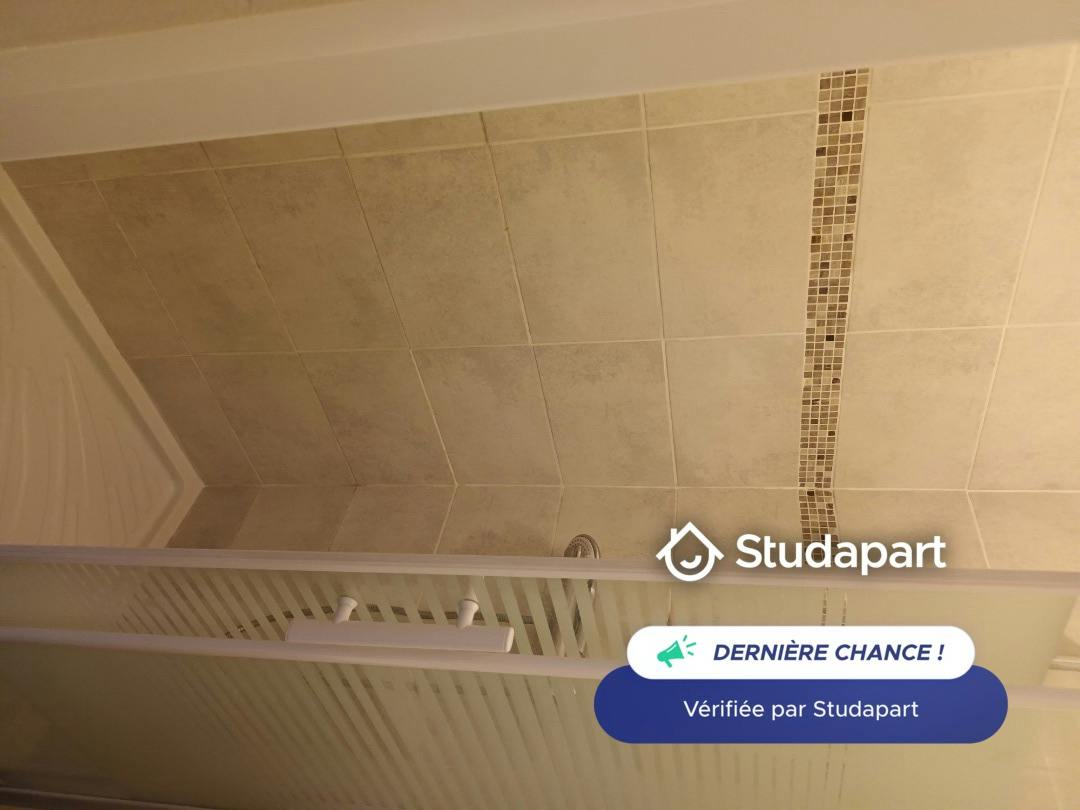 Appartement – NANTES, La Pilotière, Doulon - Bottière - Vue 4
