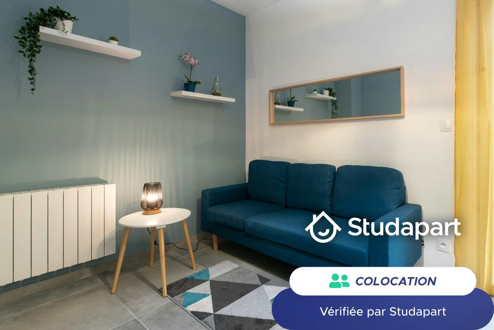 Private room for rent on Rue Francisque Jomard, Oullins – pohled 3