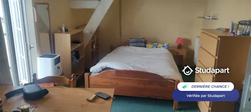 Private room for rent on Rue de la Basse Île, Rezé, Rezé