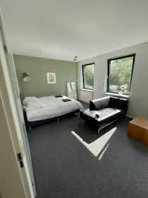 单间公寓 正在以 €1,950 的月租出租，其位于 Gouda, Crabethstraat