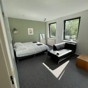 Studio for rent for €1,950 per month in Gouda, Crabethstraat