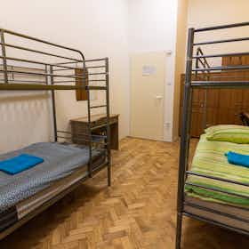 Shared room for rent for HUF 85,569 per month in Budapest, Ó utca