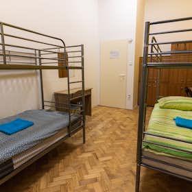 Shared room for rent for HUF 86,713 per month in Budapest, Ó utca