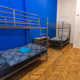 Shared room for rent for HUF 112,227 per month in Budapest, Ó utca