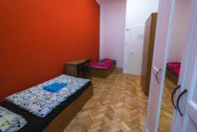 Shared room for rent for HUF 110,448 per month in Budapest, Ó utca