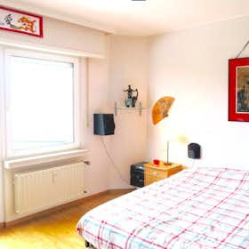 Private room for rent for €1,250 per month in Luxembourg, Val des Bons-Malades