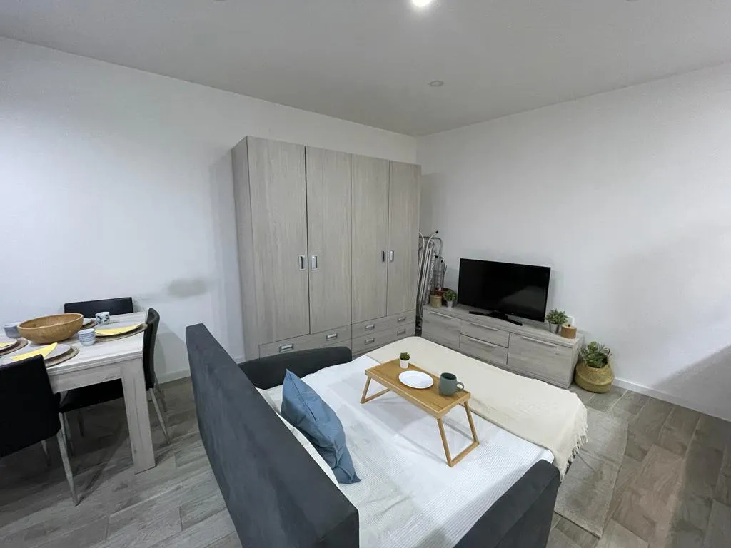 1-Bedroom Apartment in Calle de Ercilla, Madrid (1376400) ROOM
